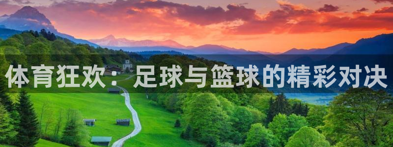 3377体育官网下载招商:体育狂欢:足球与篮球的精彩对决