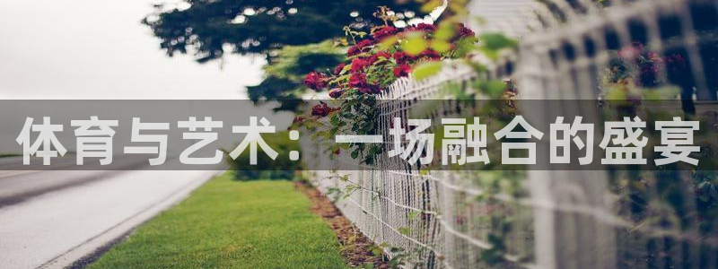 3377体育官网下载招商电话号码查询是多少:体育与艺术:一场