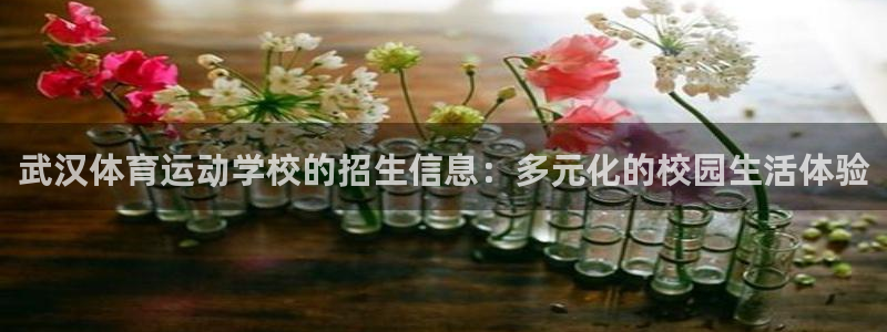 3377体育官网下载招商电话是多少号码:武汉体育运动学校的招