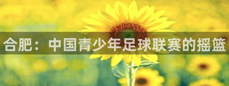 注册3377体育官方正版app:合肥:中国青少年足球联赛的摇