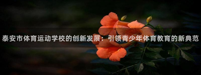 海南3377体育官网下载发展怎么样:泰安市体育运动学校的创新